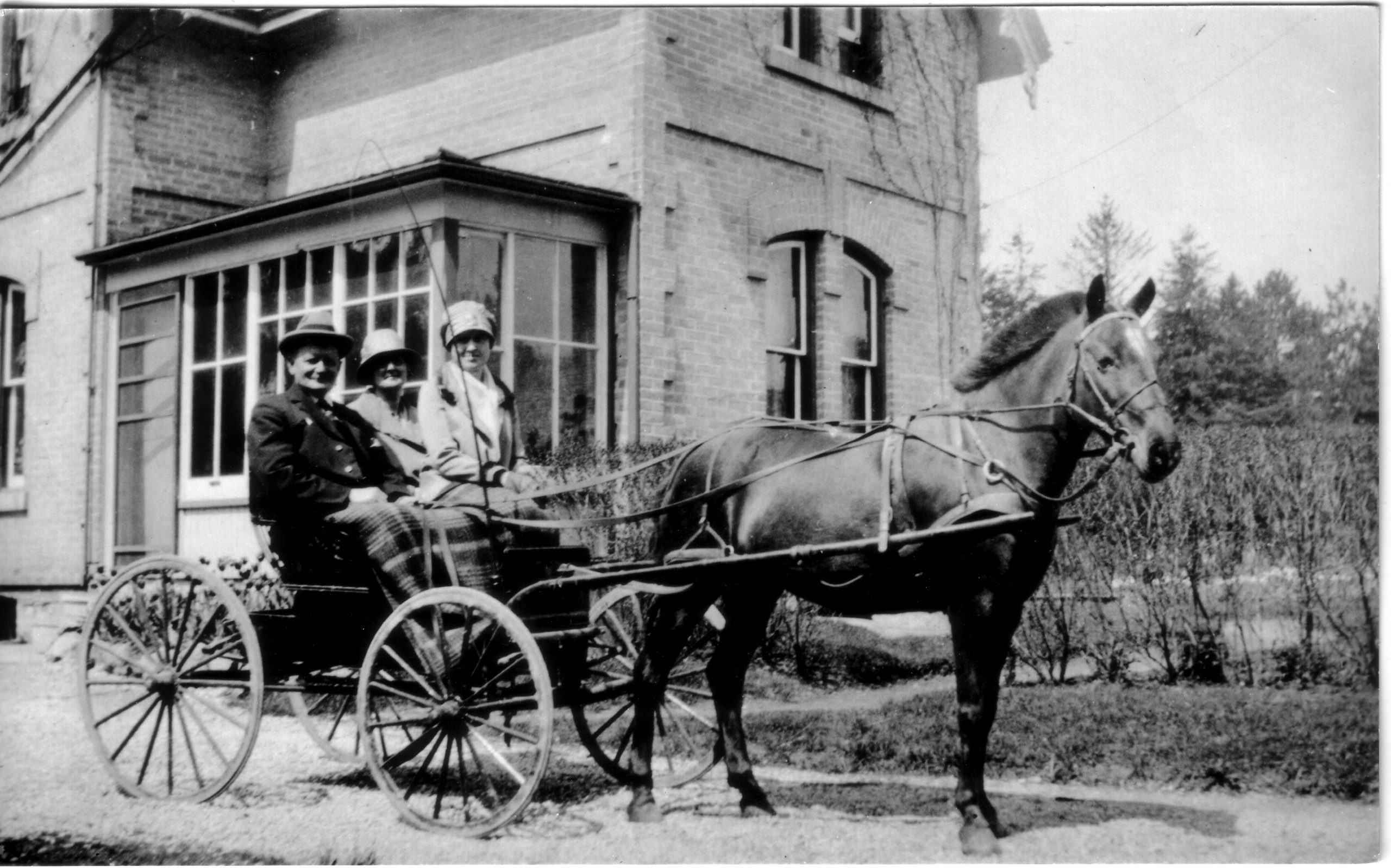 horse and car at woodlawn memorial park