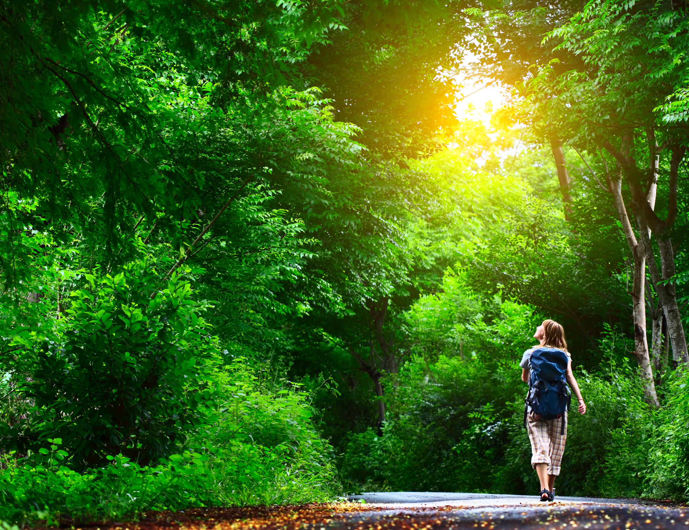 The way she walks. Синрин-Йоку. Прогулка в лесу. Прогулка на природе. Гулять на природе.