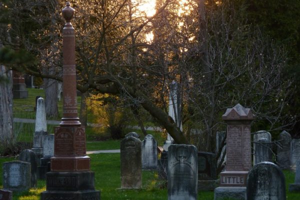 graveyard at woodlawn memorial park