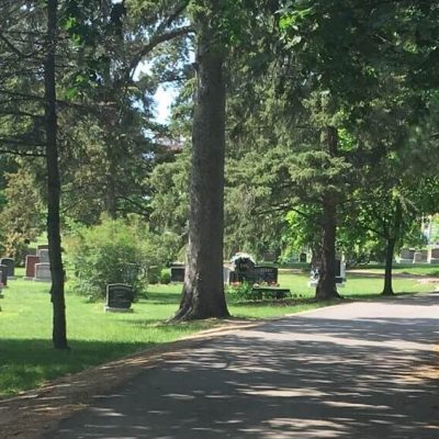 Take A Walk Through Woodlawn Memorial Park- image of path through cemetary