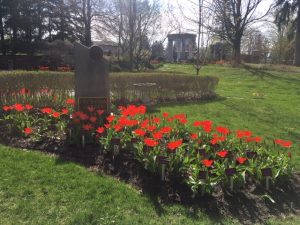 a flowerbed of red flowers at the cremation garden