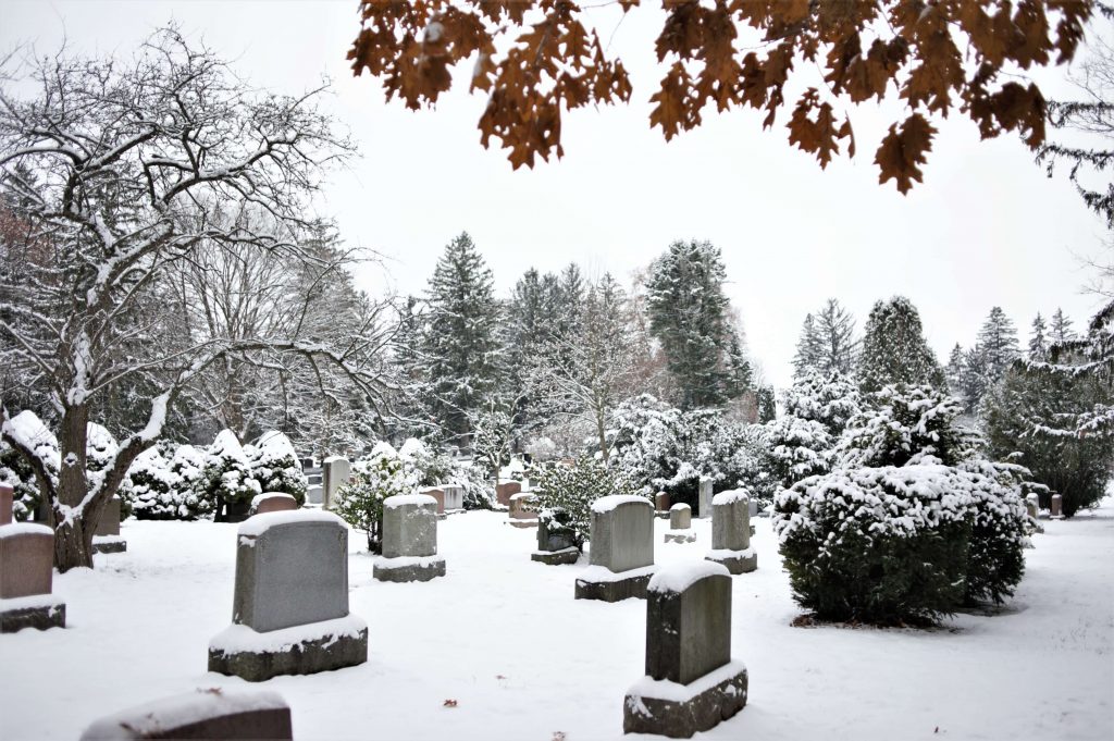 Woodlawn Memorial Park in winter