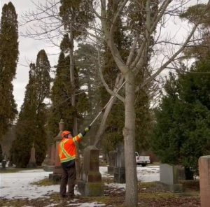 Woodlawn Memorial Park employee cutting a tree