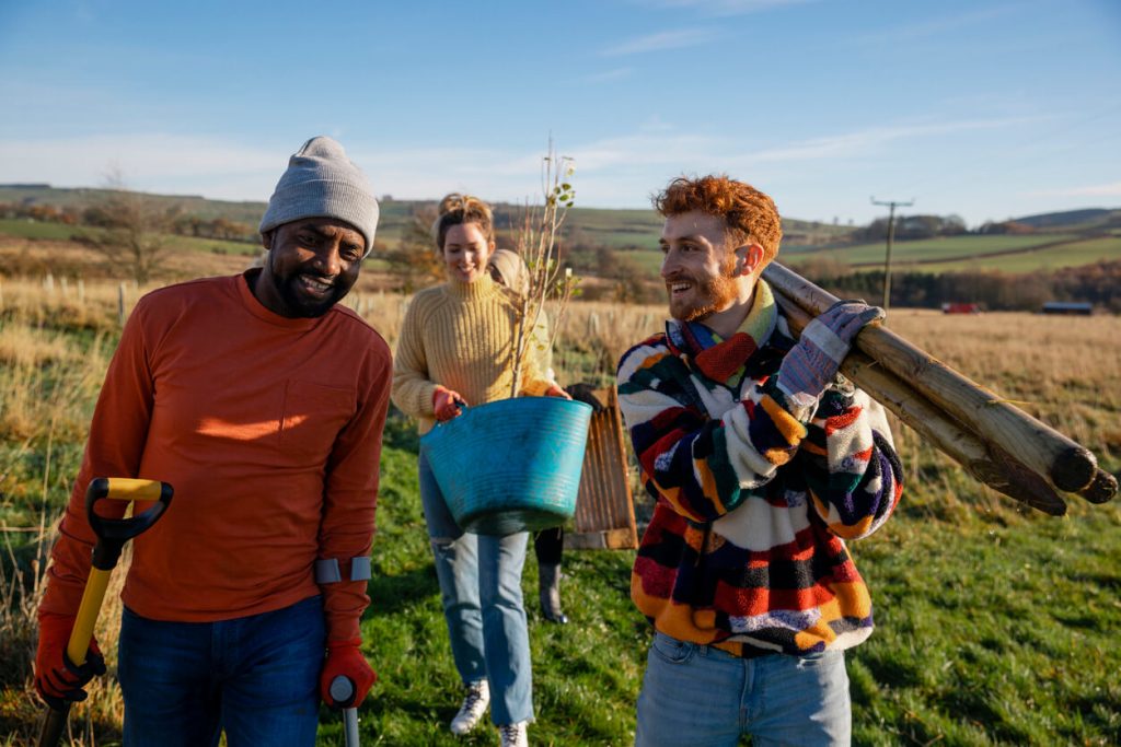 Three people planting trees