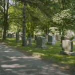 A photo of monuments at Woodlawn Memorial Park, surrounded by trees.