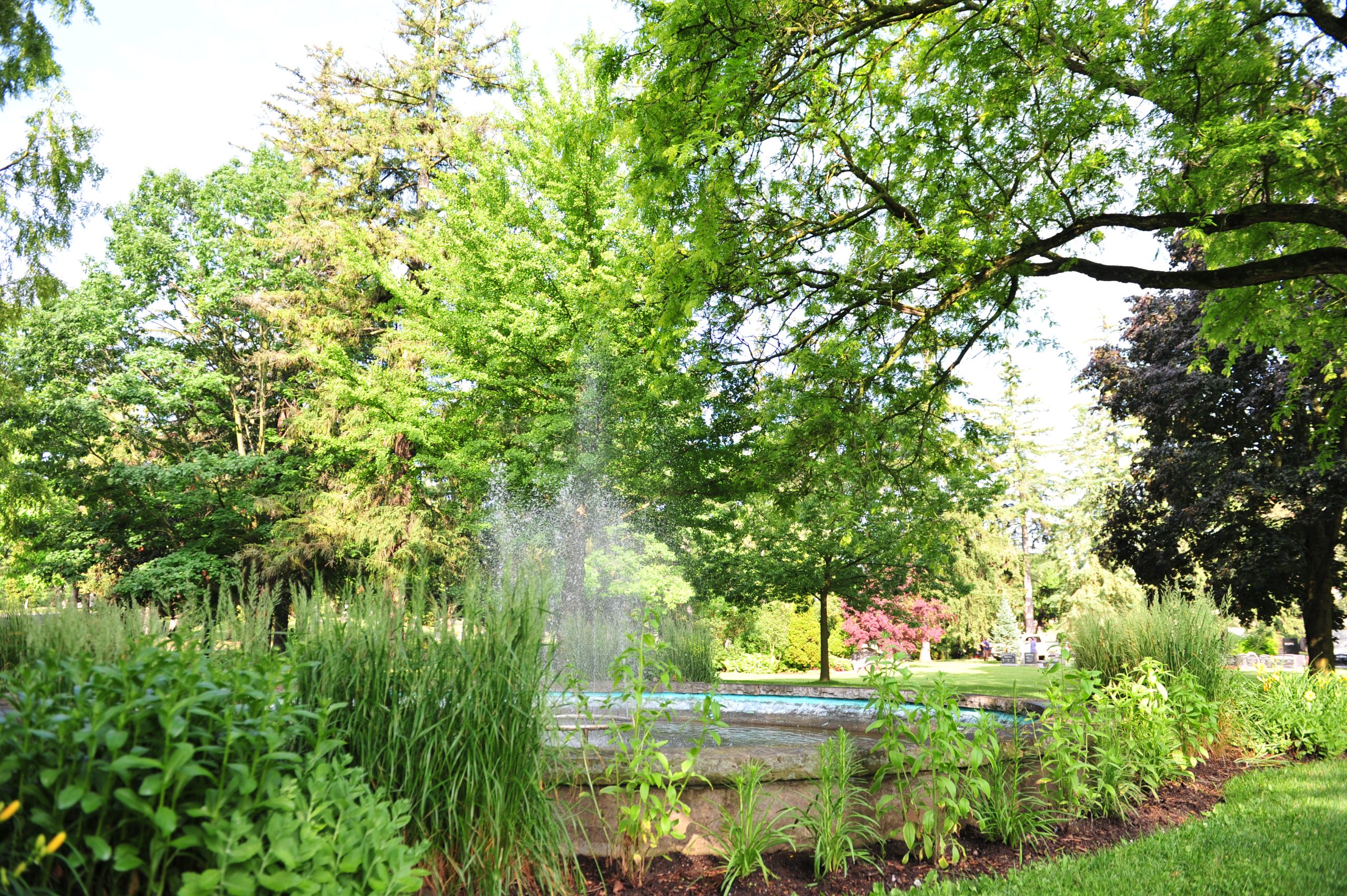 Water fountain.
