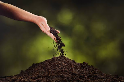 Hand pouring soil into a pile.