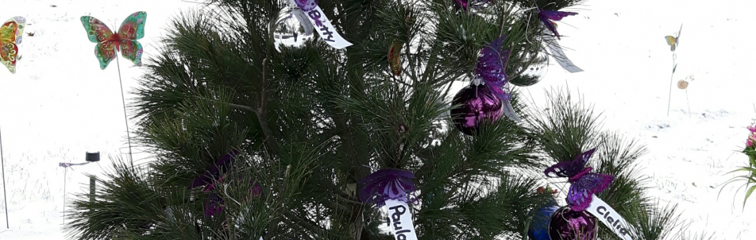 Woodlawn Memorial Park’s Angel Tree: Remembering Children Everywhere