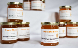 Honey bees, Sweet Memories, and Woodlawn Memorial Park