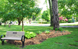 How to Prepare for a Cremation Scattering Service