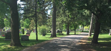 Take A Walk Through Woodlawn Memorial Park