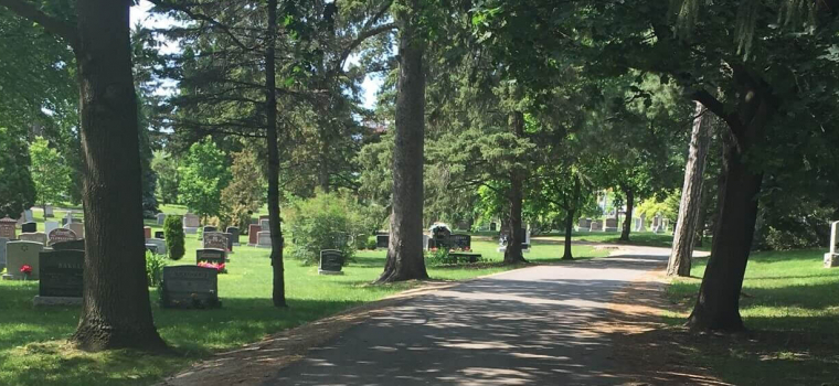 Take A Walk Through Woodlawn Memorial Park