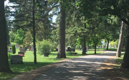 Take A Walk Through Woodlawn Memorial Park