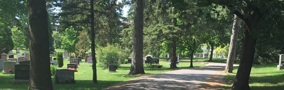 Take A Walk Through Woodlawn Memorial Park