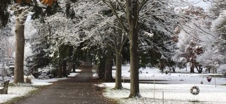 Family Day At Woodlawn Memorial Park