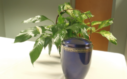 What to Do After Cremation Takes Place