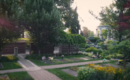 Burial and Cremation Options in Guelph