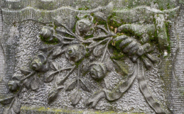 Monument Cleaning from Moss and Lichen