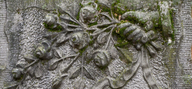 Monument Cleaning from Moss and Lichen