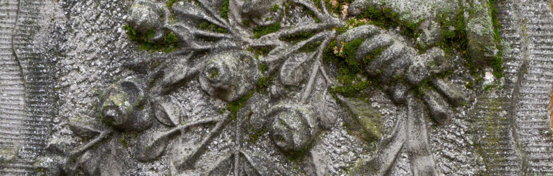 Monument Cleaning from Moss and Lichen