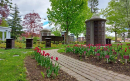 Should You Bury Cremated Remains In A Cemetery?