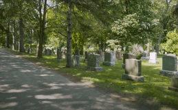 Final Resting Place Options