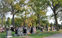 The Significance of Cemeteries